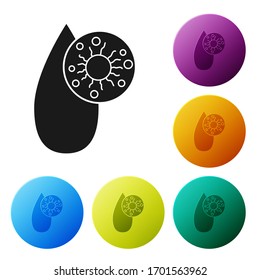 Schwarzer Bluttest und Virus-Molekül Coronavirus Symbol einzeln auf weißem Hintergrund. Coronavirus, COVID-19. 2019-nCoV Symbole in den Farbkreisknöpfen einstellen. Vektorillustration-Illustration