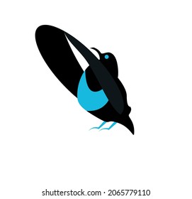black and blue paradise bird mascot logo design 