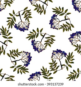 Black (blue) rowan seamless vector pattern