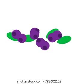 Black blueberry image