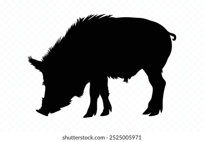 Schwarz Eber Silhouette Vektor, Wildschwein Schwarz Clipart