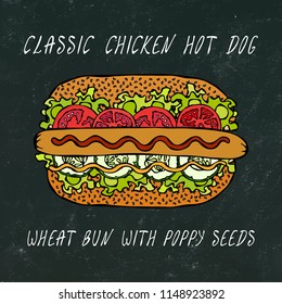 Black Board. Classic Chicken Hot Dog on a Sesame Bun with Lettuce Salad, Tomato, Cucumber, Ketchup. Street Fast Food Collection. Realistic Hand Drawn High Quality Vector Illustration. Doodle Style.