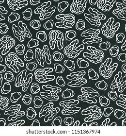 Black Board. Hazelnut and Walnut Seamless Endless Pattern. Whole Peeled Hazelnut. Autumn or Fall Harvest Collection. Realistic Hand Drawn High Quality Vector Illustration. Doodle Style.