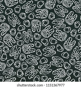 Black Board. Hazelnut and Walnut Seamless Endless Pattern. Whole Peeled Hazelnut. Autumn or Fall Harvest Collection. Realistic Hand Drawn High Quality Vector Illustration. Doodle Style.