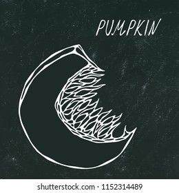 Black Board. Orange Pumpkin Piece. Autumn or Fall Vegetable Harvest Collection. Realistic Hand Drawn High Quality Vector Illustration. Doodle Style.