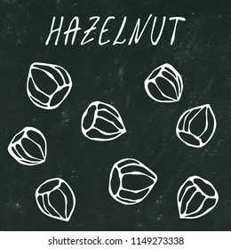 Black Board. Whole Unpeeled Hazelnuts in Shell. Healthy Snack. Autumn or Fall Harvest Collection. Realistic Hand Drawn High Quality Vector Illustration. Doodle Style.
