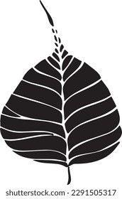 black bodhi leaves white background