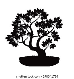 Black Bonsai Maple Tree. Illustration.
