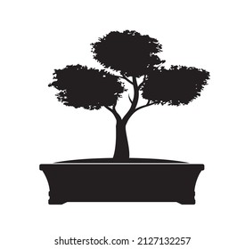 Schwarzer Bonsai-Baum. Vektorgrafik-Skizze.