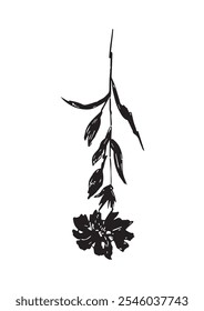 desenho botânico preto, flor desenhada à mão, ilustração de ervas em preto e branco, silhueta