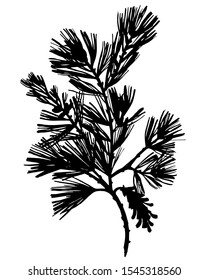 Black botanical element isolated on white. Silhouette of spruce pine branch, needles, sprig. Fir tree twig in tattoo style. 