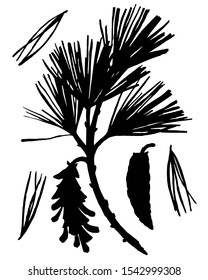 Black botanical elements isolated on white. Silhouettes of spruce pine branches, needles, sprigs and twigs. Tree elements set in tattoo style. 