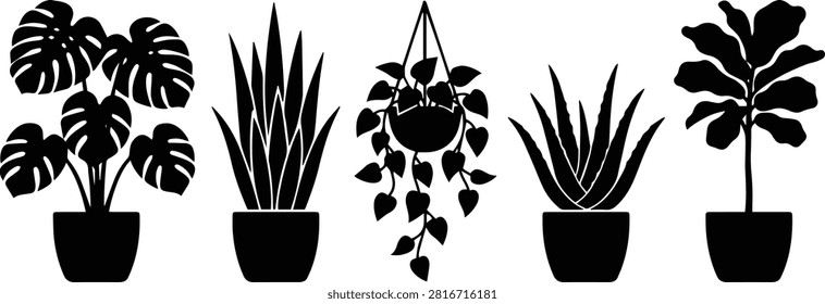 Black botanical icons featuring monstera and hanging pothos, indoor garden greenery vectors, simple plant shapes.