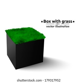 Black box with green grass