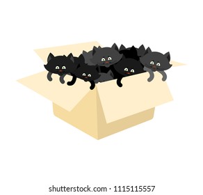 Black Box with kittens. Cats in cardboard box. Vector illustration
