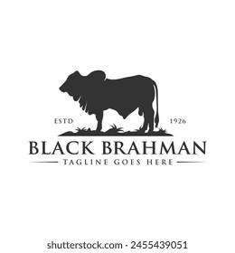 black brahman cow logo design