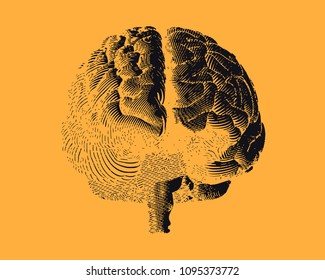 Black brain engraving drawing front view isolated on yellow orange background