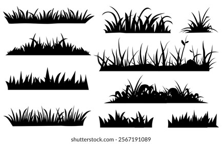 Black Branch grass silhouettes set. Hand drawn isolated illustrations.