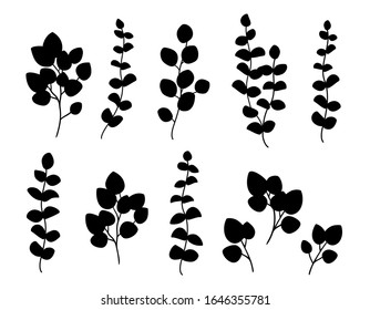 black branch with herb and plant leaves silhouettes