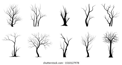 Black Branch Tree or Naked trees silhouettes set. Hand drawn isolated illustrations