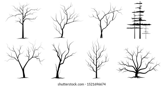 Black Branch Tree or Naked trees silhouettes set. Hand drawn isolated illustrations