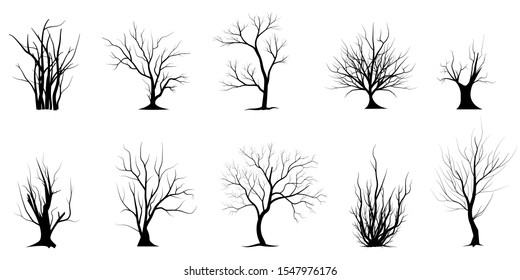 Vector Black Silhouette Bare Tree Stock Vector Royalty Free