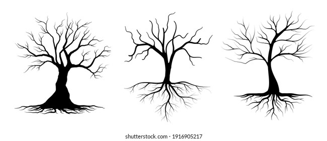 Black Branch Tree or Naked trees and root silhouettes set. Hand drawn isolated illustrations.