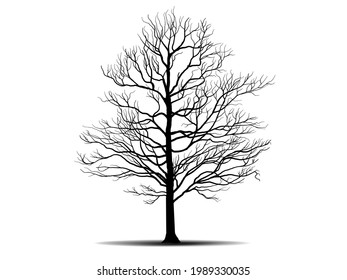 Siluetas de árbol de ramas negras o árboles desnudos. Ilustraciones aisladas dibujadas a mano.