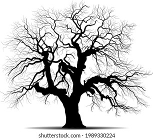 Black Branch Tree or Naked trees silhouettes. Hand drawn isolated illustrations.