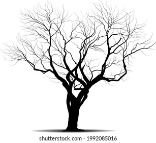 Black Branch Tree or Naked trees silhouettes on white background. Hand drawn isolated illustrations.