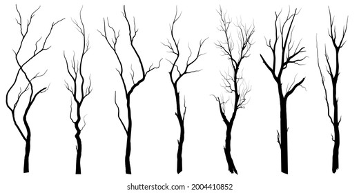 Arbol de ramas negras o siluetas de árboles desnudos. Ilustraciones aisladas dibujadas a mano.