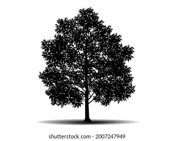 Black Branch Tree or Naked trees silhouettes. Hand drawn isolated illustrations, tree symbol style and white background. Can be used for your work.