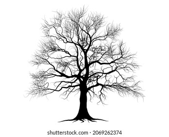 Siluetas de árbol de ramas negras o árboles desnudos. Ilustraciones aisladas dibujadas a mano.
