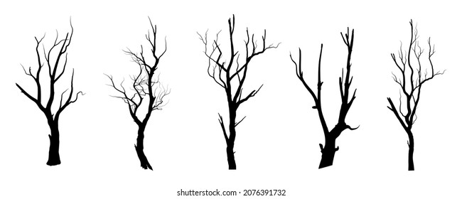 Black Branch Tree or Naked trees silhouettes set. Hand drawn isolated illustrations.