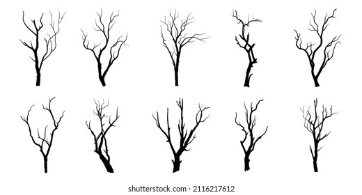Arbol de ramas negras o siluetas de árboles desnudos. Ilustraciones aisladas dibujadas a mano.