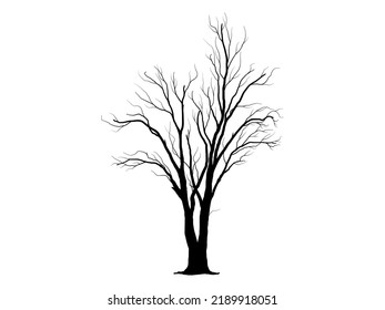 Black Branch Tree or Naked trees silhouettes on white background. Hand drawn isolated illustrations.