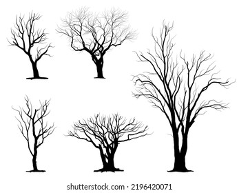 Arbol de ramas negras o siluetas de árboles desnudos. Ilustraciones aisladas dibujadas a mano.