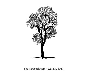 Black Branch Tree or Naked trees silhouettes. Hand drawn isolated illustrations.