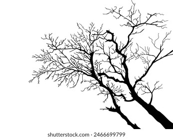 Black Branch Tree or Naked trees silhouettes set. Hand drawn isolated illustrations.