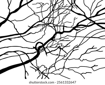 Black Branch Tree or Naked trees silhouettes set. Hand drawn isolated illustrations.