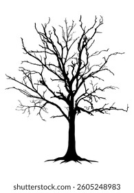 Black Branch Tree or Naked trees and roots silhouettes. Hand drawn isolated illustrations.