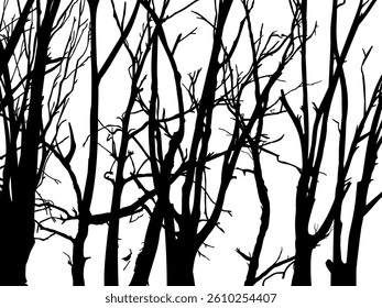 Black Branch Tree or Naked trees silhouettes set. Hand drawn isolated illustrations.