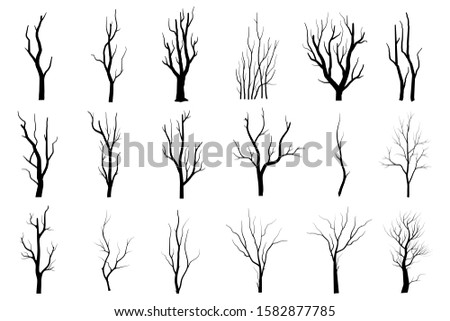 Black Branch Tree or Naked trees silhouettes set. Hand drawn isolated illustrations.