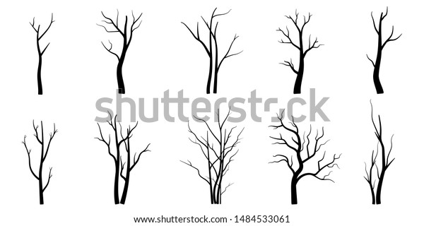 黒い枝の木または裸の木のシルエットセット 手描きのイラスト のベクター画像素材 ロイヤリティフリー