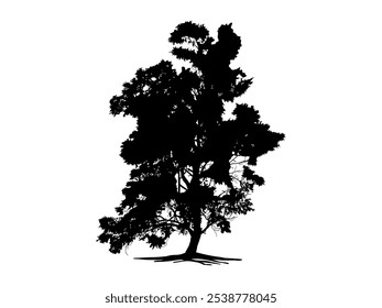 Árbol de la rama negra y siluetas de la raíz o de los árboles desnudos. Dibujado a mano ilustraciones aisladas. Árbol y raíces estilo LOGO.