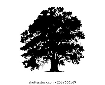 Árbol de la rama negra y siluetas de la raíz o de los árboles desnudos. Dibujado a mano ilustraciones aisladas. Árbol y raíces estilo LOGO.