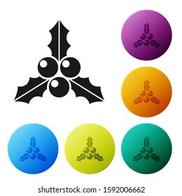 Black Branch viburnum or guelder rose icon isolated on white background. Merry Christmas and Happy New Year. Set icons colorful circle buttons. Vector Illustration