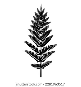 black branches fern. Contour drawing. Vector illustration.