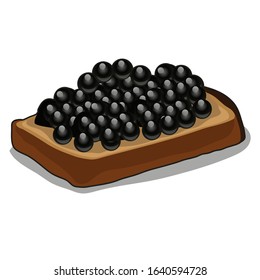 Black bread with caviar isolated on a white background. Vector cartoon close-up illustration