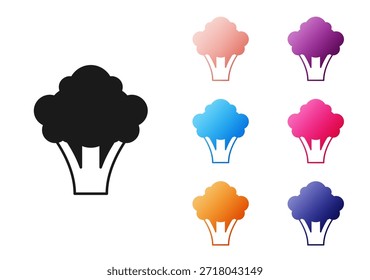 Ícone de brócolis preto isolado no fundo branco. Defina os ícones com cores. Vetor